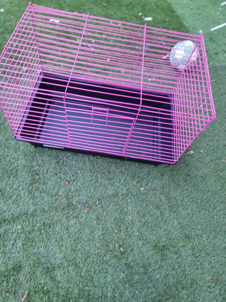 Hamster guinea pig cage