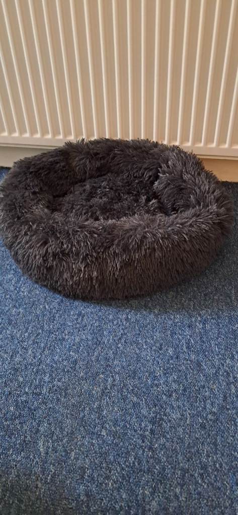 Free as new cat bed