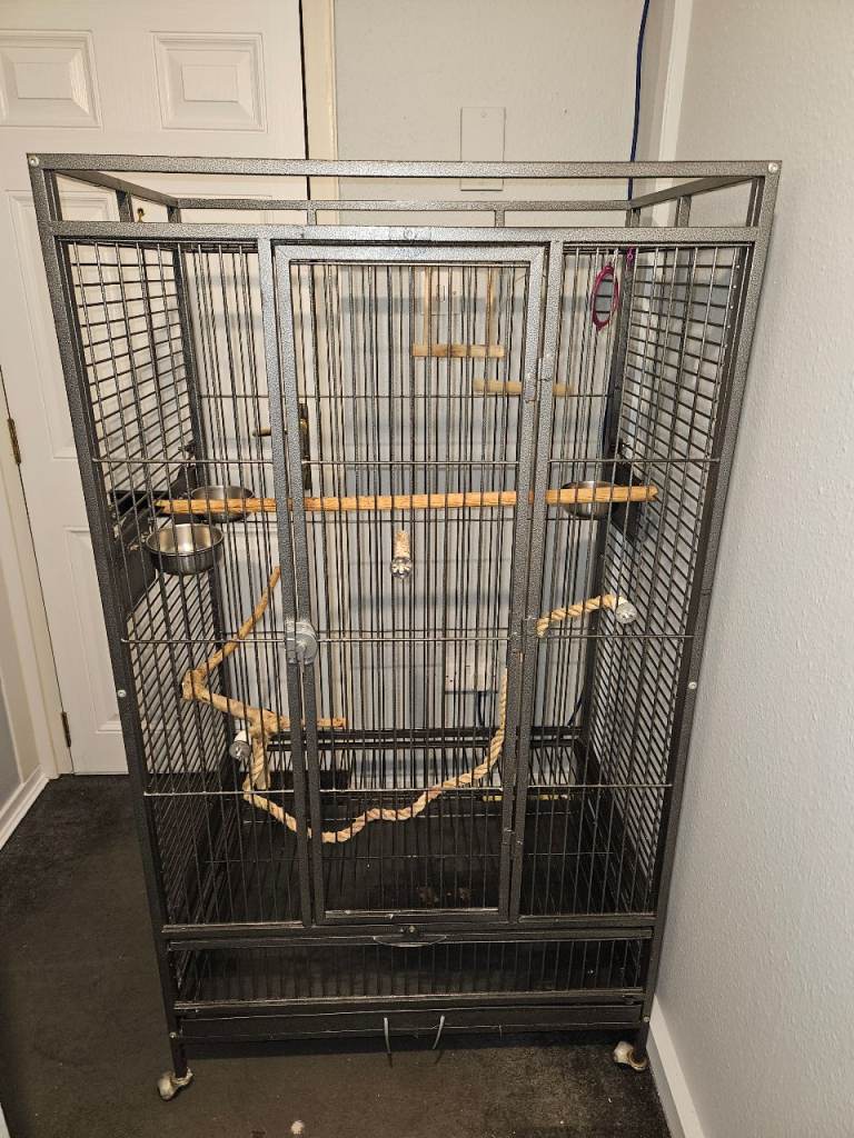 Parrot cage 