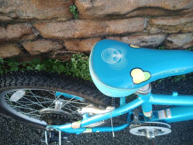 Trek MT60 Girls Hard Tail Light Weight 20-inch Kids Mountain Bike