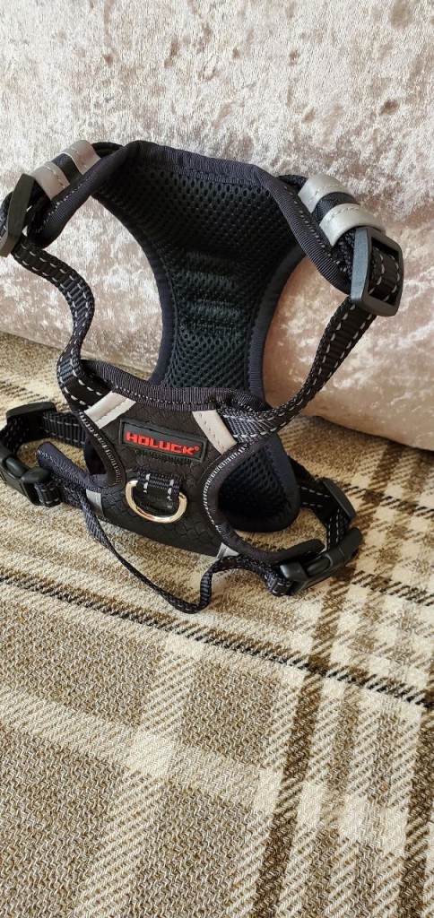 Small Dog Harness  - -  £5 - - -