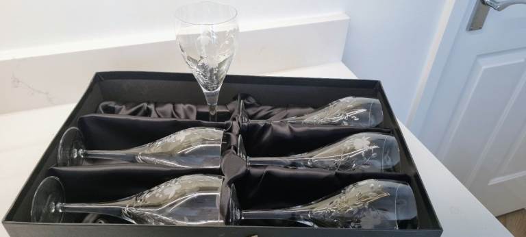 Set of 6 Stuart Crystal Fuchsia Cascade Etched Goblets- 280ml