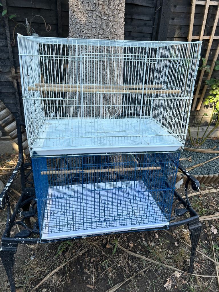 Bird cages 2 
