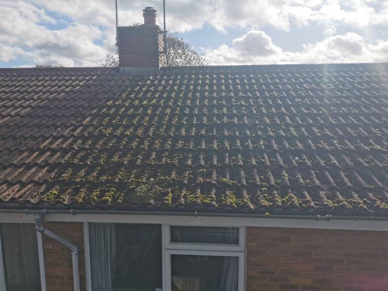 Roof,gutter and driveway pressure wash