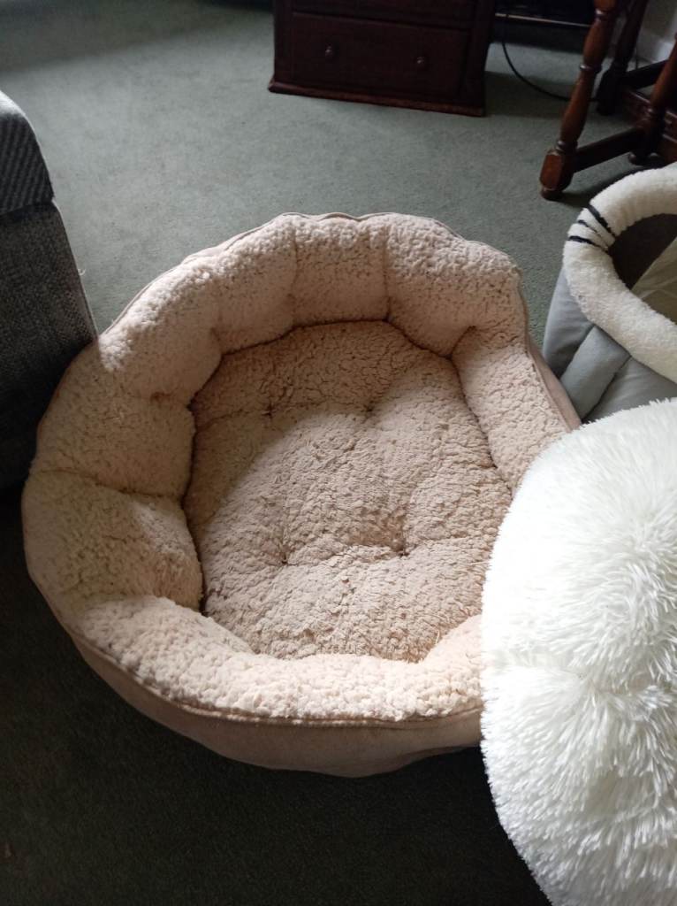 Cat beds