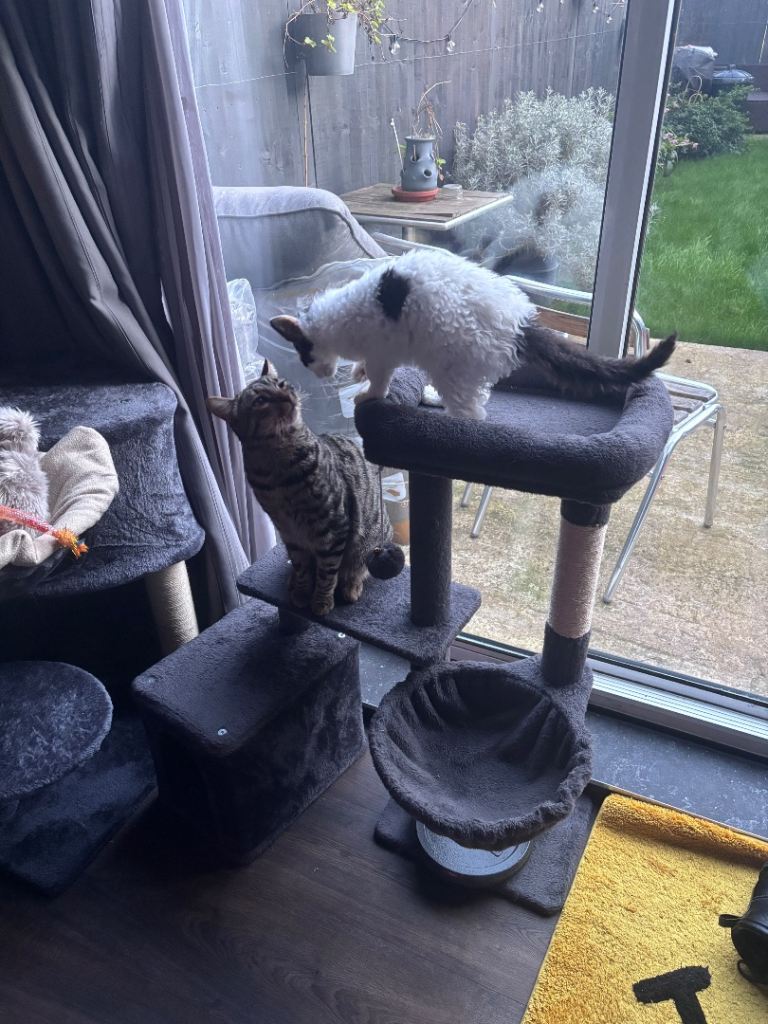 Cat tree - dark grey 87cm