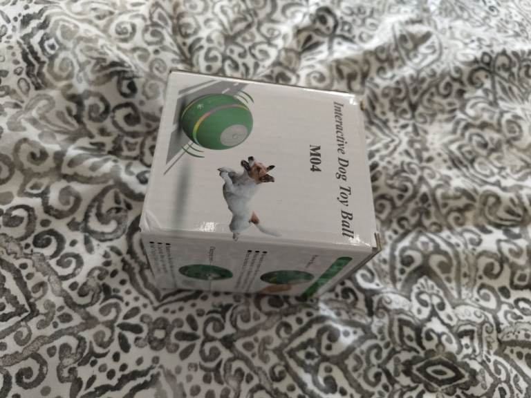 Interactive dog ball