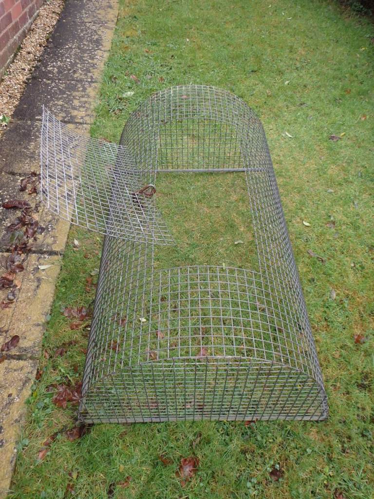 Guinea Pig or Small Rabbit Run