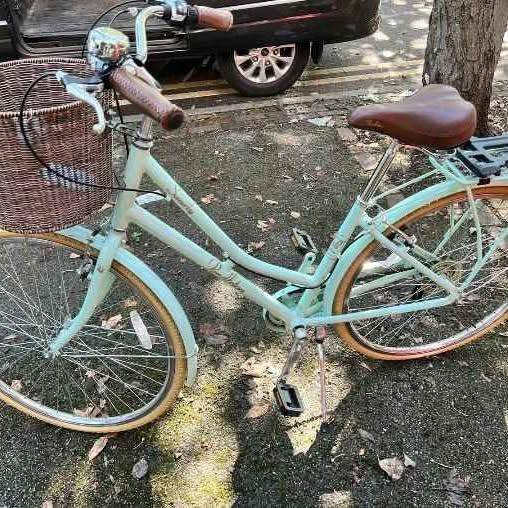 Pendleton Female Bike