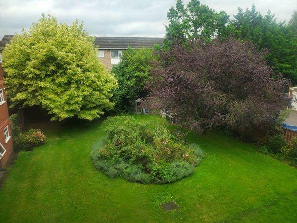 1bed flat Reading to swap