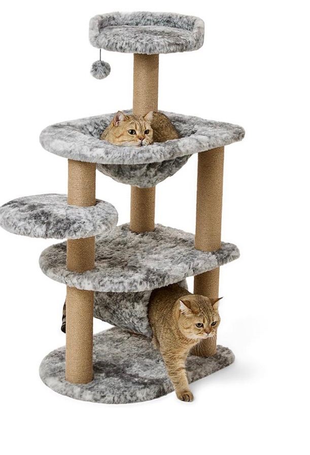 Brand new cat tree 