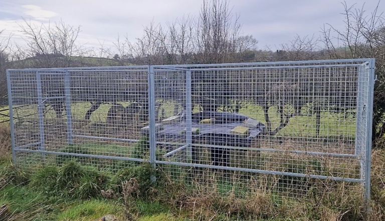 Galvanised Double Dog Run