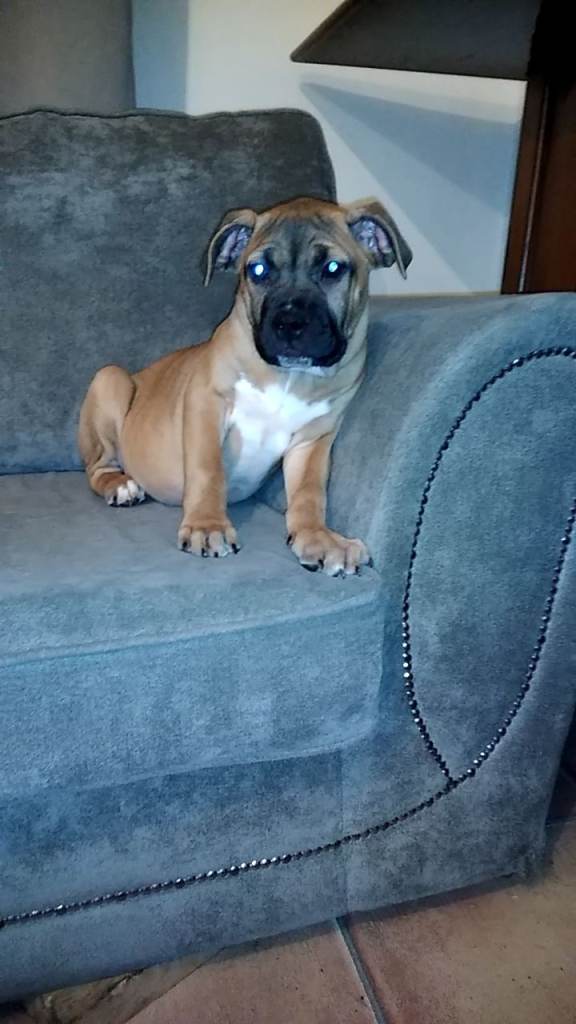 Looking for forever homes 🏘️