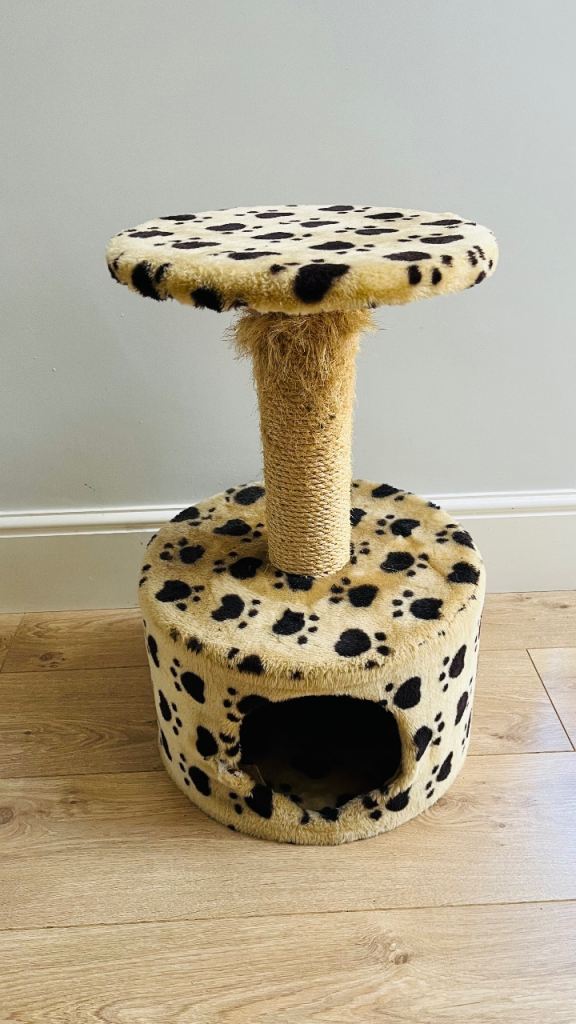 Free Cat Scratch Post