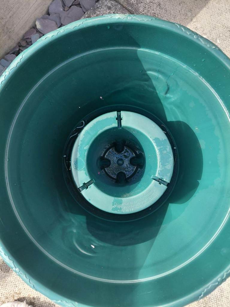 Christmas tree bucket