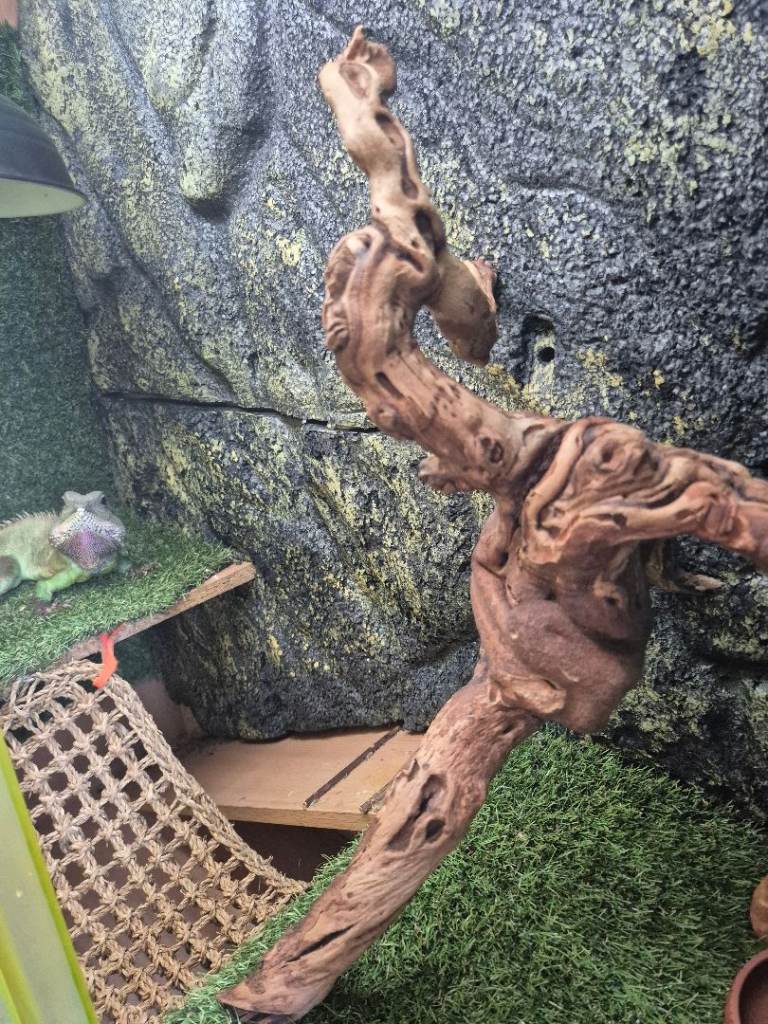 Vivarium 