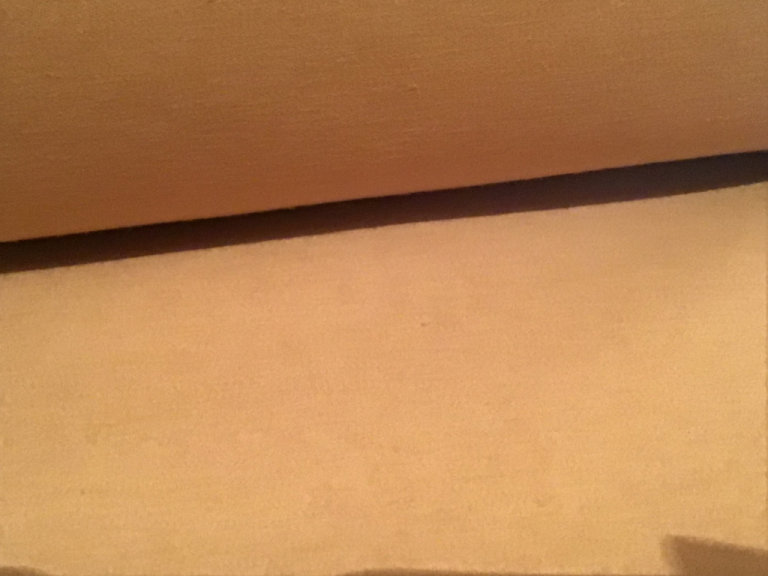 Brisbane Moss Cotton Moleskin Fabric 60 inch wide 25.5 metres 