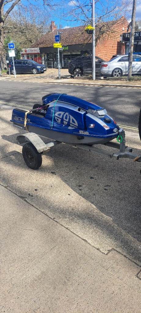 Kawasaki 550 animal stand up ski