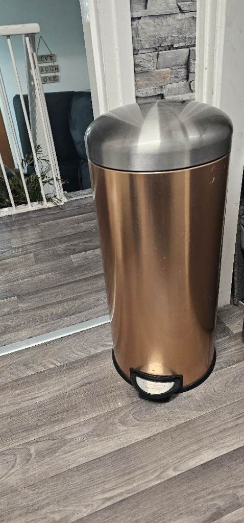 Kitchen pedal bin