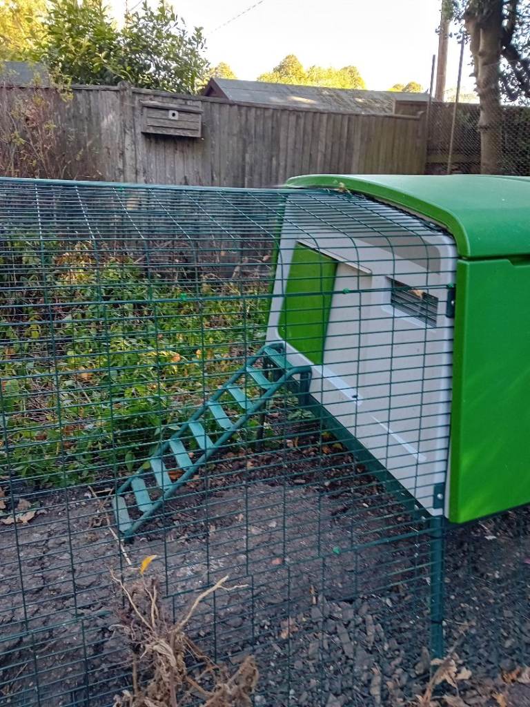 Chicken runs, 2x Omlet houses  and large 4m x 3m x2m pens