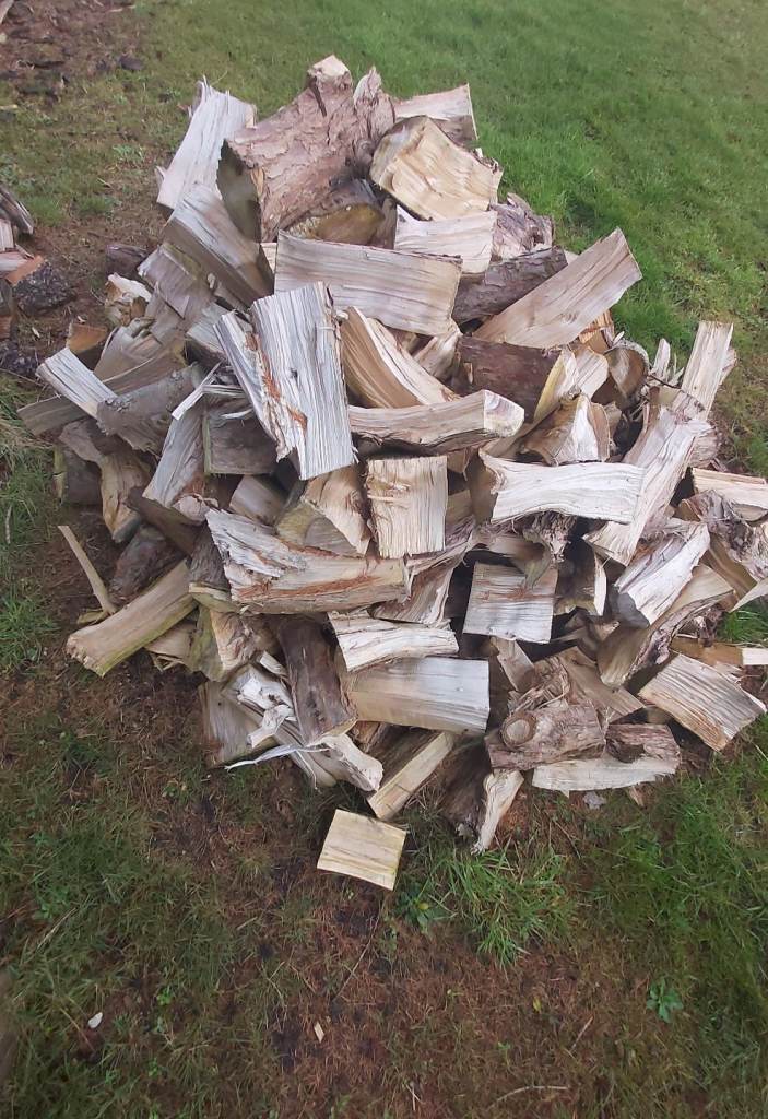 Free Firewood 