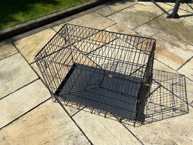 Dog crate for sale