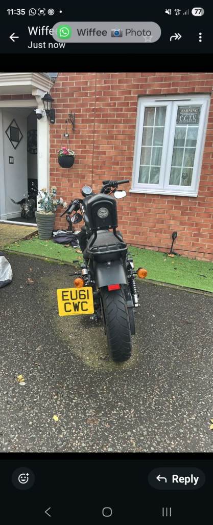 Harley davidson sportster iron 883