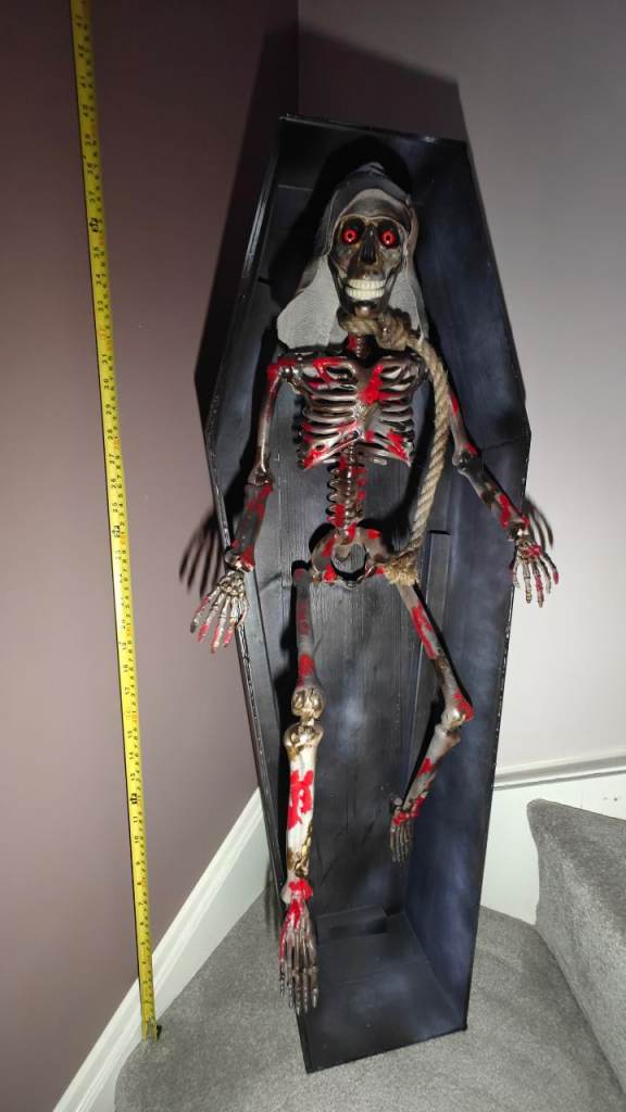 Halloween Coffin Skeleton