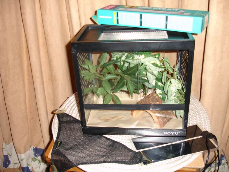 Mini 36cm vivarium with equipment