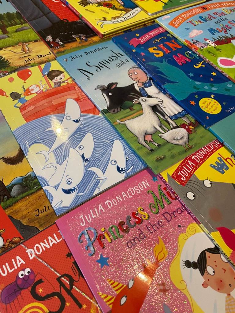 Julia Donaldson Book Bundle – 20 Books!!