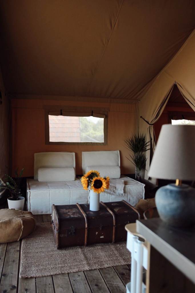 Discover Meadow View Country Park – Book Your Escape Today!