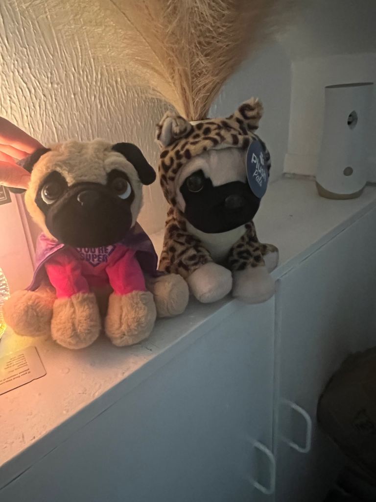 Pug teddies