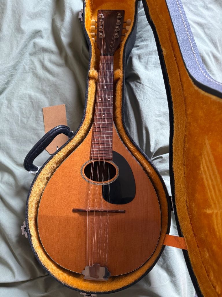 Vintage 1969 Martin “style A” Mandolin 