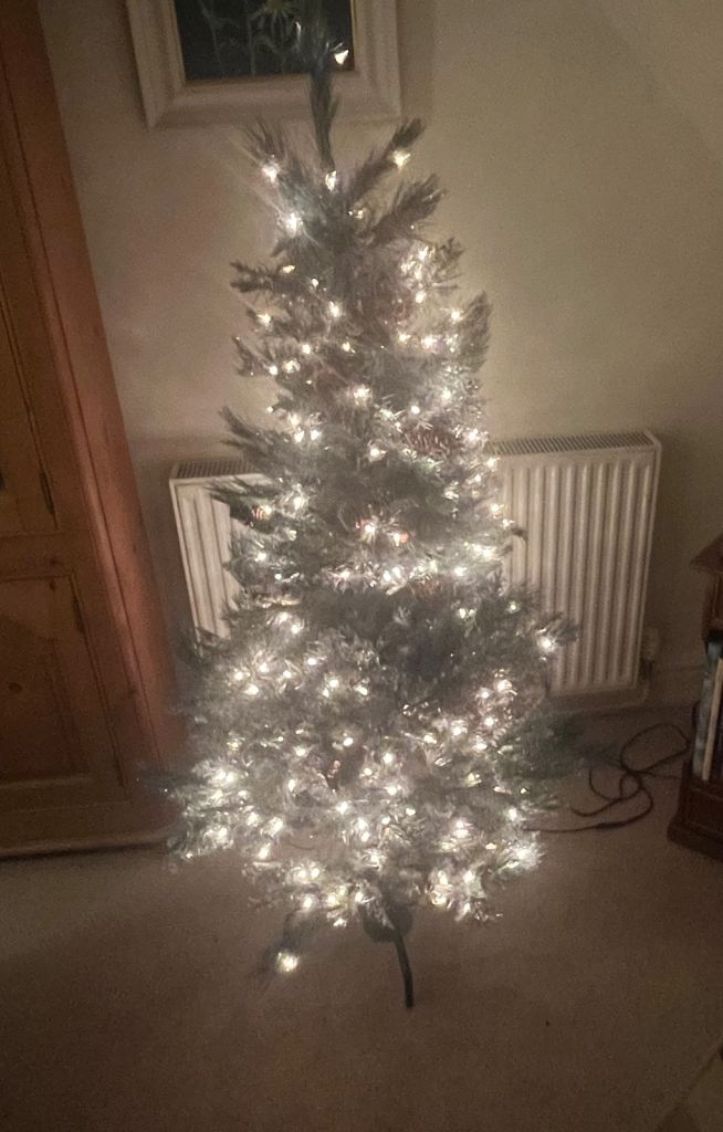 FREE 5ft Artificial Christmas Tree with mains lights 