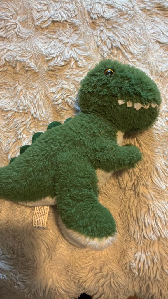 Cute Green Dinosaur Soft Toy – Good Condition