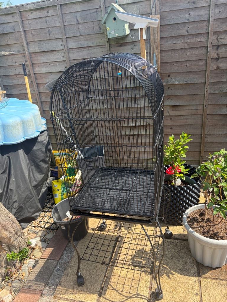 Parrot cage 