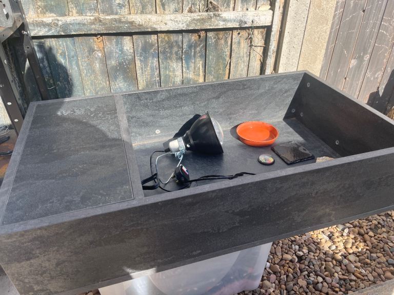 Tortoise table and accessories 
