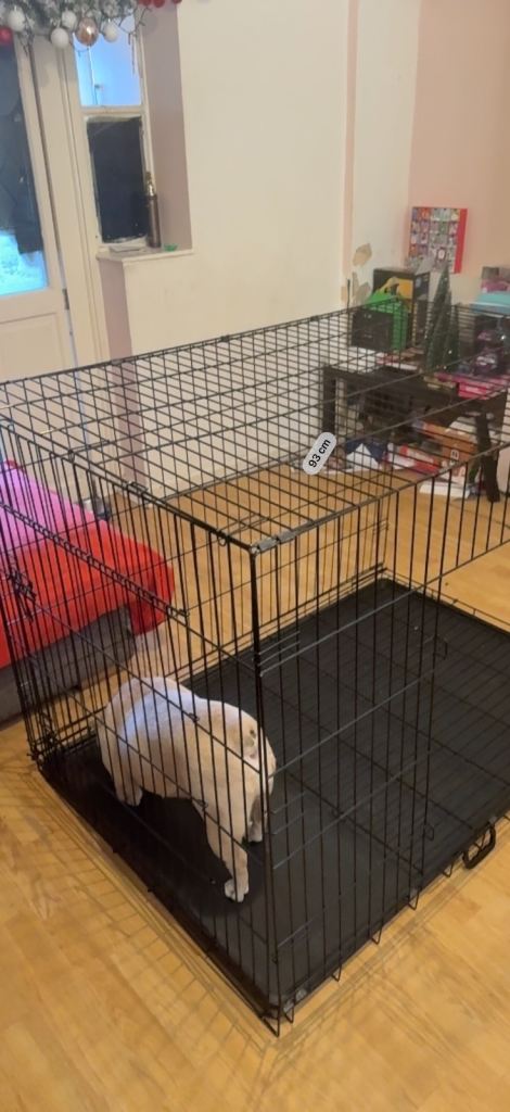 Extra extra large dog crate for big dogs 