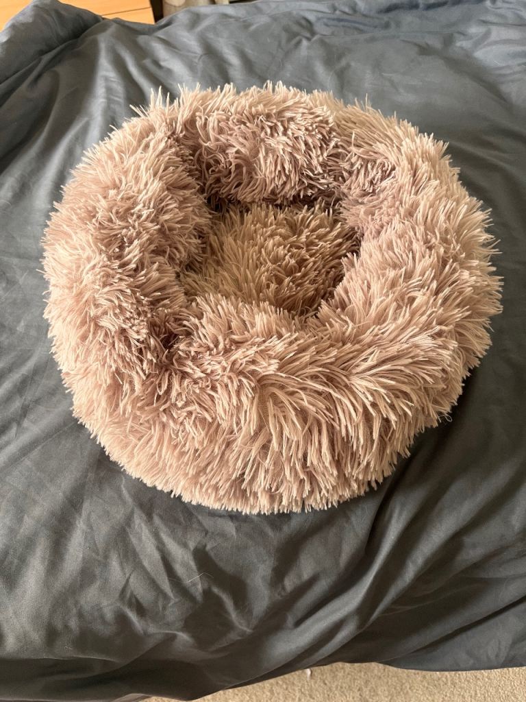 Puppy, cat or small dog bed-BNWT fluffy donut style with soft base