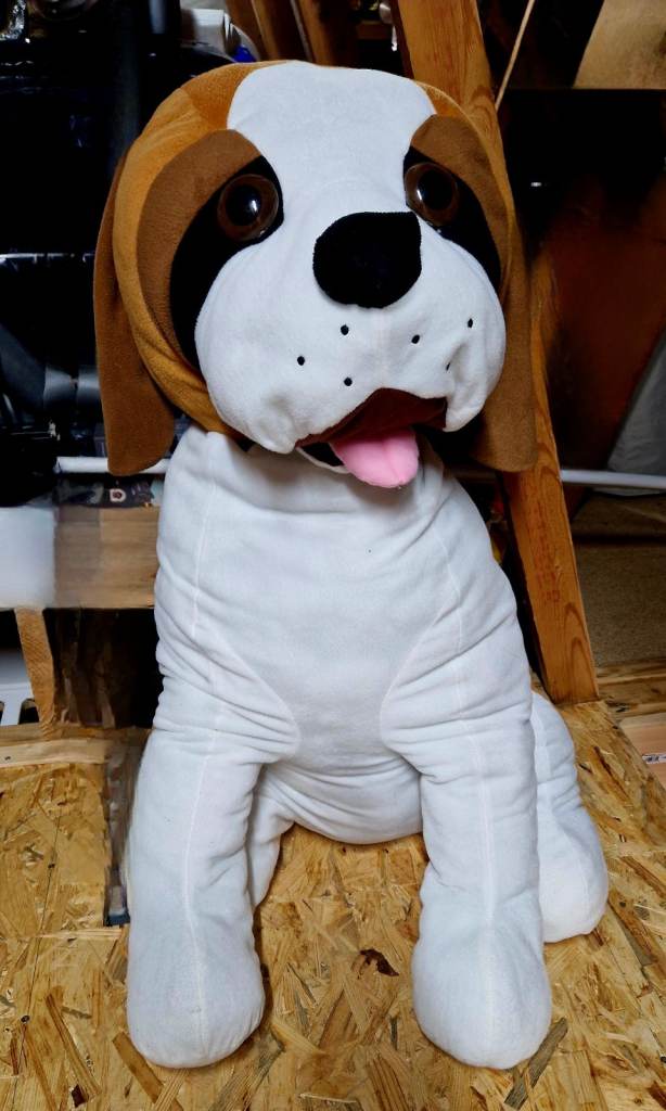 Dog, big soft toy.