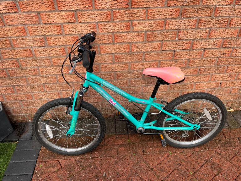 Liv Kids Bike - Teal with Pink Seat, Good Condition