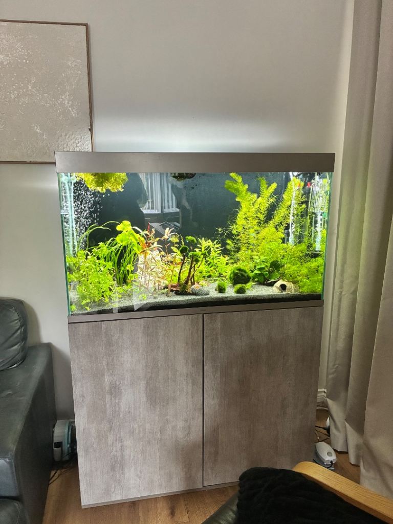 Ciano 200litre 