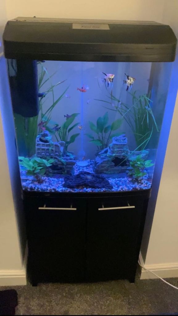 Aqua One AquaStyle 620T Curved Glass Aquarium with Cabinet