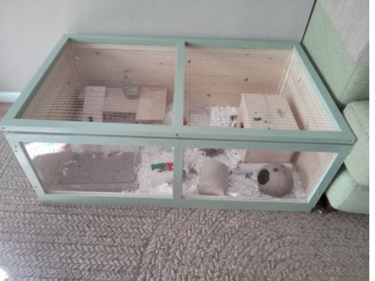 Hamster cage 
