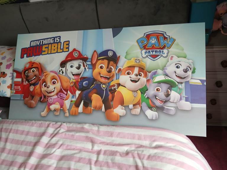 image for Paw patrol canvas