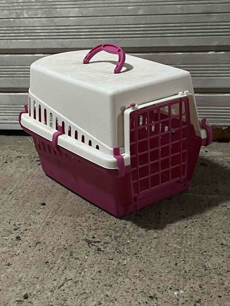Cat Carrier / Small Pet Carrier (White & Pink)