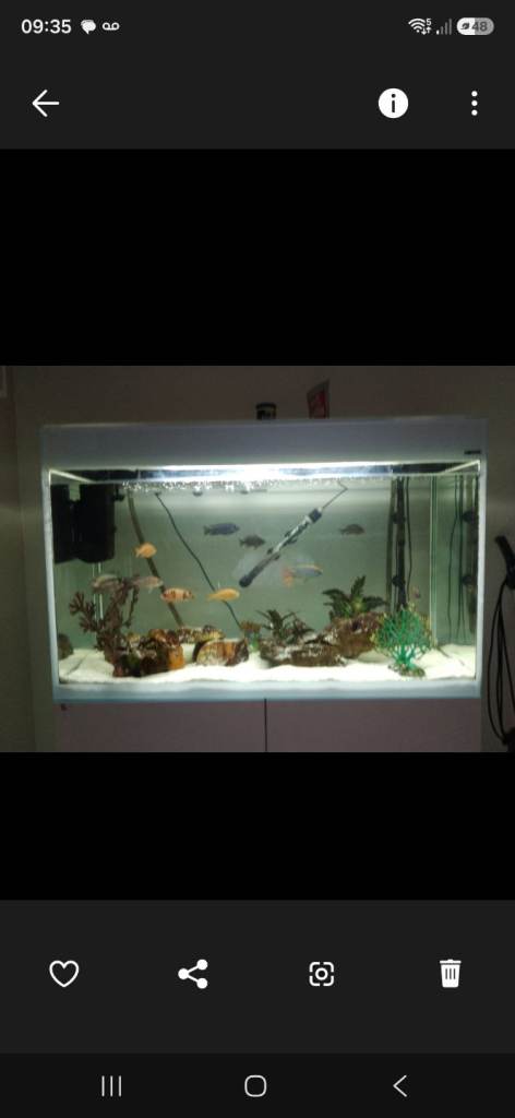 Aquael 200 Fish tank, stand, filter, heater and rocks 
