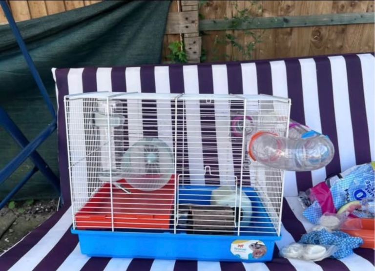 Small animal cage 