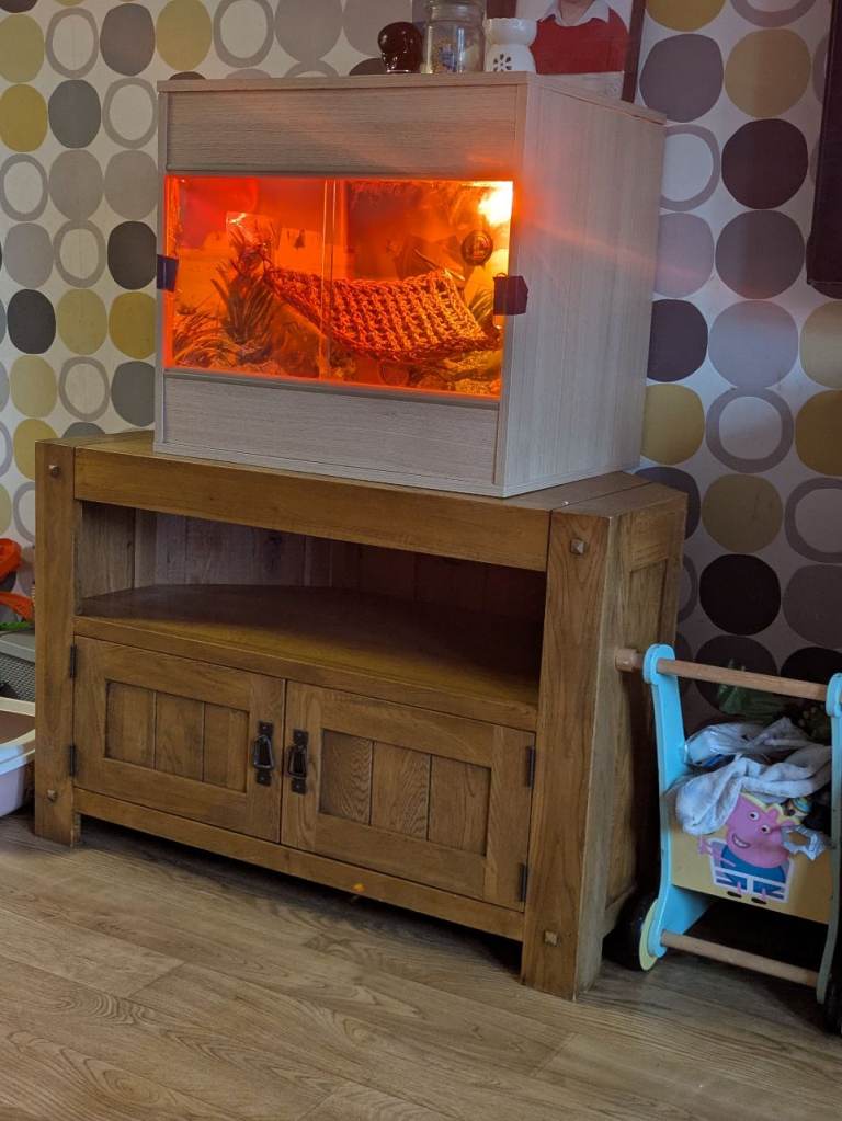 Reptile vivarium tank