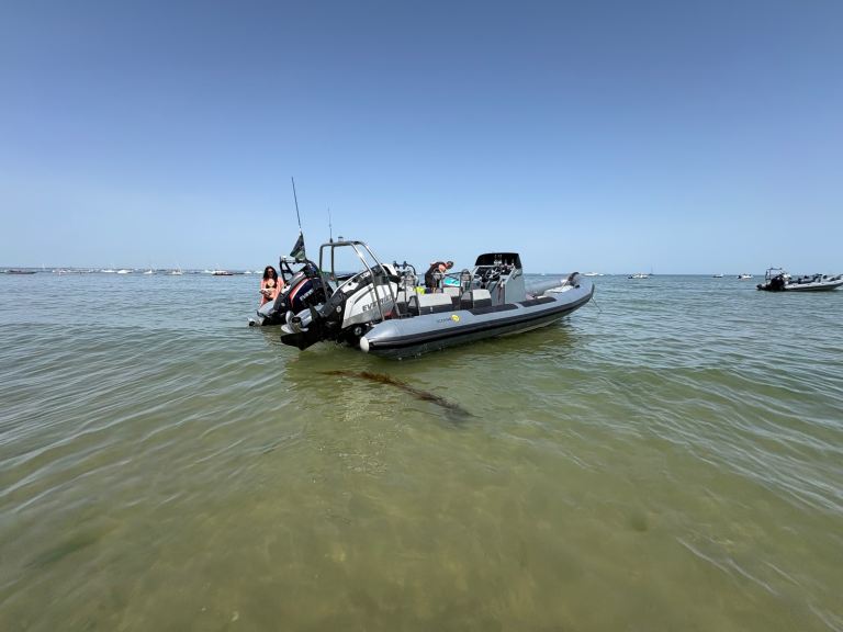 Ballistic Rib